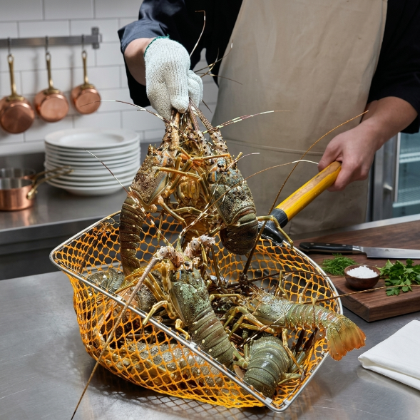 Premium Wild Lobster